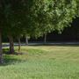 Yas Gateway Park
