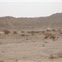 Jebel Hafeet - Wadi Tarbat