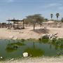 Al Ain Wildlife Park and Resort