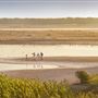 Al Wathba Wetland Reserve