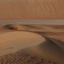 Qasr Al Sarab Desert