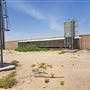 Abandoned Poultry Farm