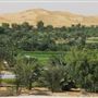 Liwa Farms
