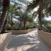 Al Qattara Oasis
