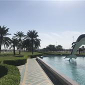 Dolphin Park