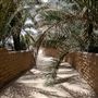 Al Ain Oasis
