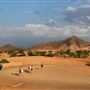 Al Ain Wildlife Park and Resort
