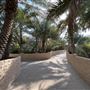 Al Qattara Oasis