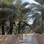 Al Qattara Oasis