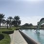 Dolphin Park
