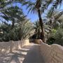 Al Qattara Oasis