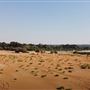 Al Ain City