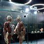 Body Museum - Khalifa University