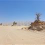Light Sand Area - Al Ain