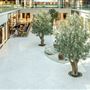Marina Mall