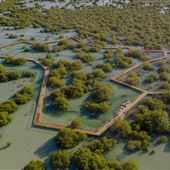 Jubail Mangrove Park