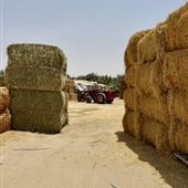 Sweihan Animal Feed Store
