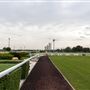 Abu Dhabi Equestrian Club