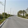 Al Shaheed Ali Khalifa Al Mesmari St - Reem Island