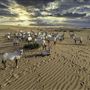 Telal Resort Al Ain
