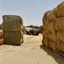 Sweihan Animal Feed Store