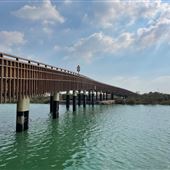 Al Gurm Bridge