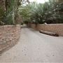 Al Ain Oasis