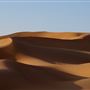 Liwa Desert (Empty Quarter)