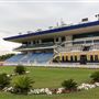 Abu Dhabi Equestrian Club
