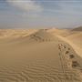 Remah Desert