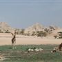 Al Ain Wildlife Park and Resort