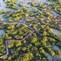 Jubail Mangrove Park