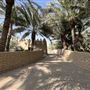 Al Qattara Oasis