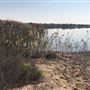 Al Wathba Wetland Reserve