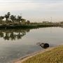 Yas Acres Golf & Country Club