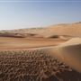 Qasr Al Sarab Desert