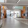 Khalifa University