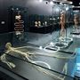 Body Museum - Khalifa University