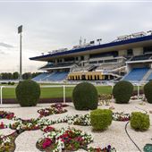 Abu Dhabi Equestrian Club
