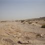 Jebel Hafeet - Wadi Tarbat