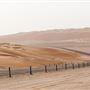 Tal Moreeb Road - Liwa