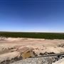 Al Maha Farms