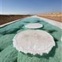 Al Wathba Long Salt Lake