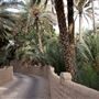 Al Ain Oasis