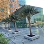 Cleveland Clinic