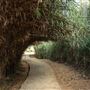 Al Wathba Wetland Reserve