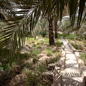 Al Ain Oasis
