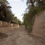 Al Ain Oasis