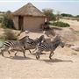 Al Ain Wildlife Park and Resort