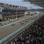 Yas Marina Circuit
